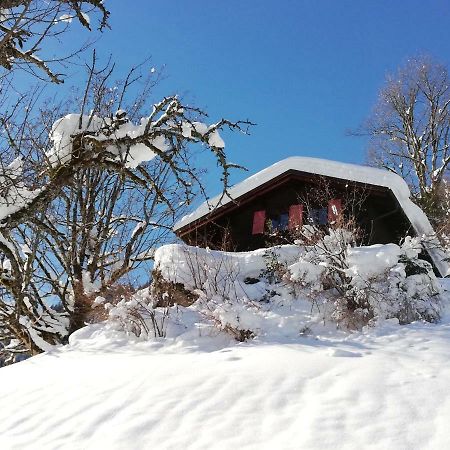 Ferienhaus Schnider Galgenul 외부 사진