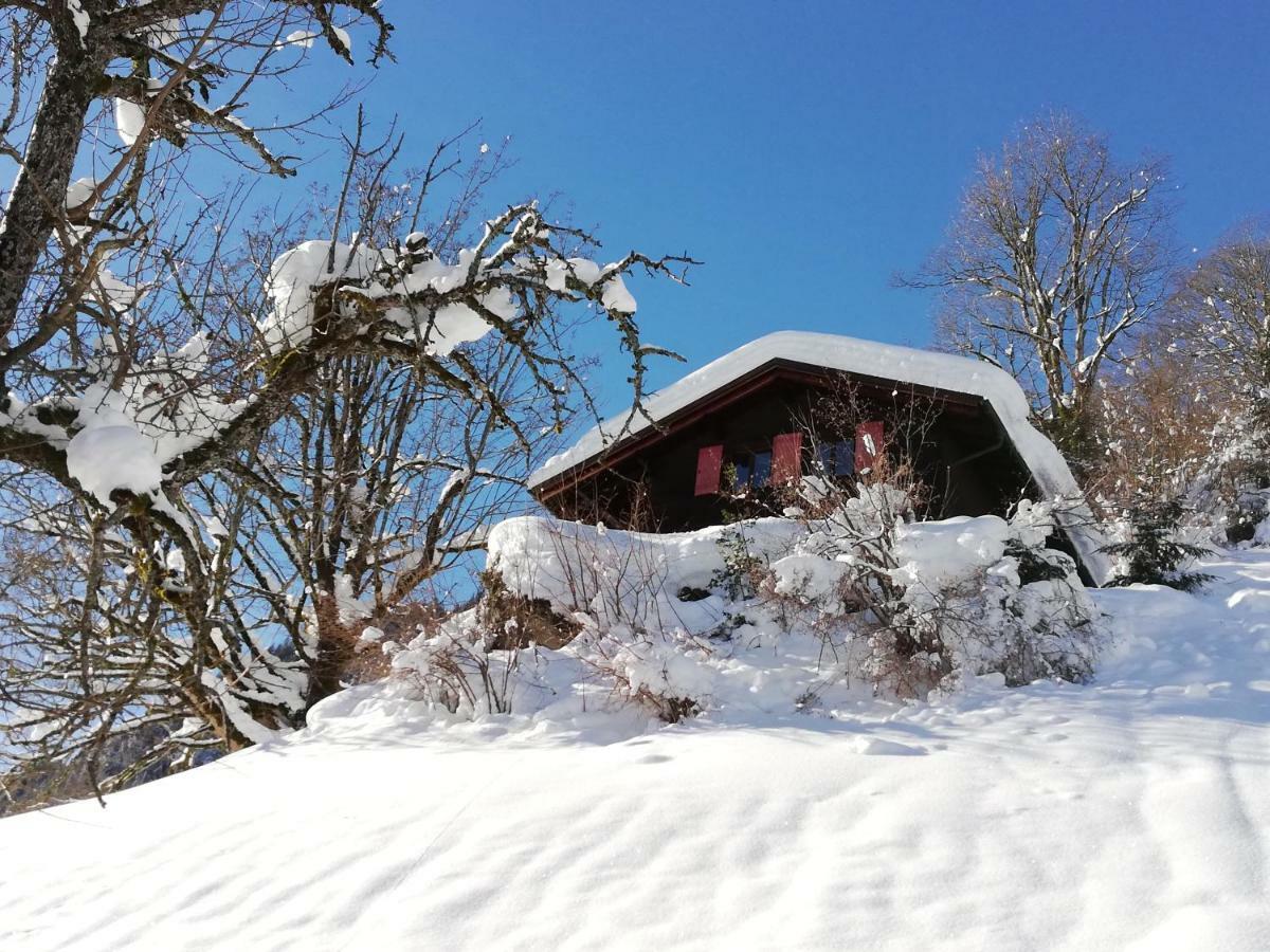 Ferienhaus Schnider Galgenul 외부 사진